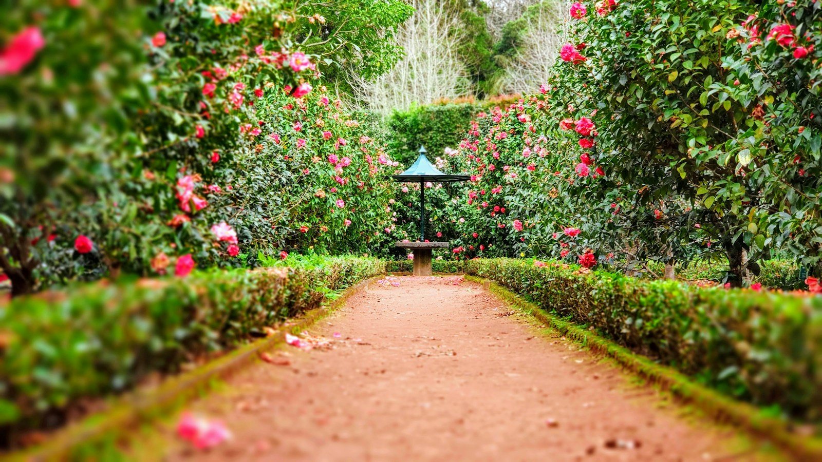 Lawn Maintenance & Groundskeeping
